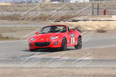 media/Nov-02-2025-Lotus Club of SoCal (Sun) [[dc384ab7f7]]/Novice Group/Cotton Corners/